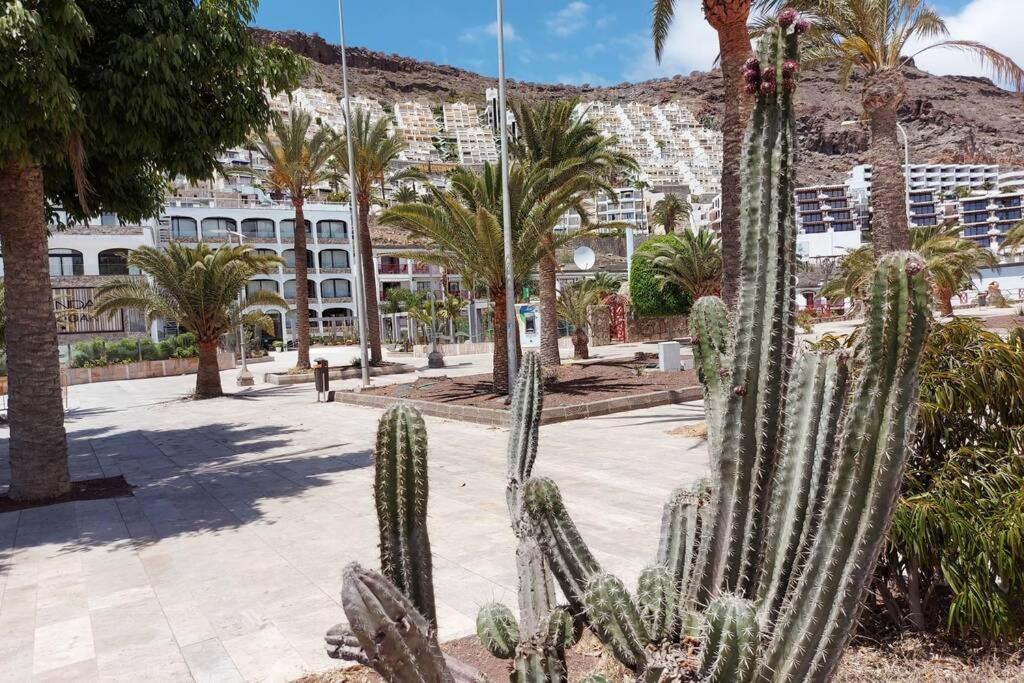 Ertel Suite Monte Golf-Vista Mar Playa Del Cura  Luaran gambar